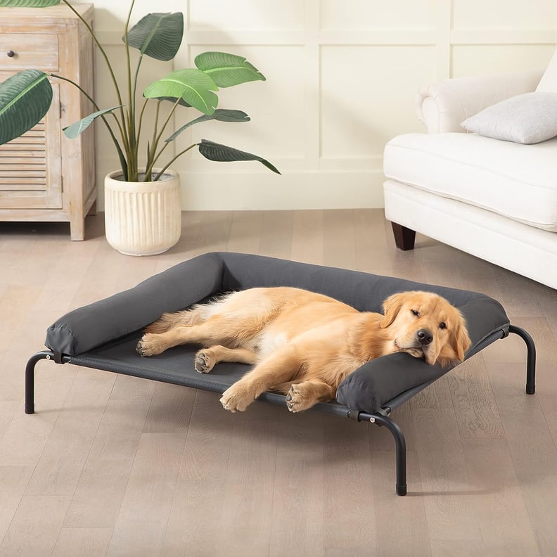 Best Elevated Dog Bed With Bolsters