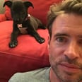 The Only Thing Cuter Than Scott Foley Is Scott Foley Gushing About His Dog