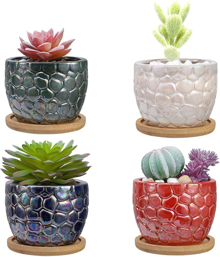 Shinowa Small Succulent Pots