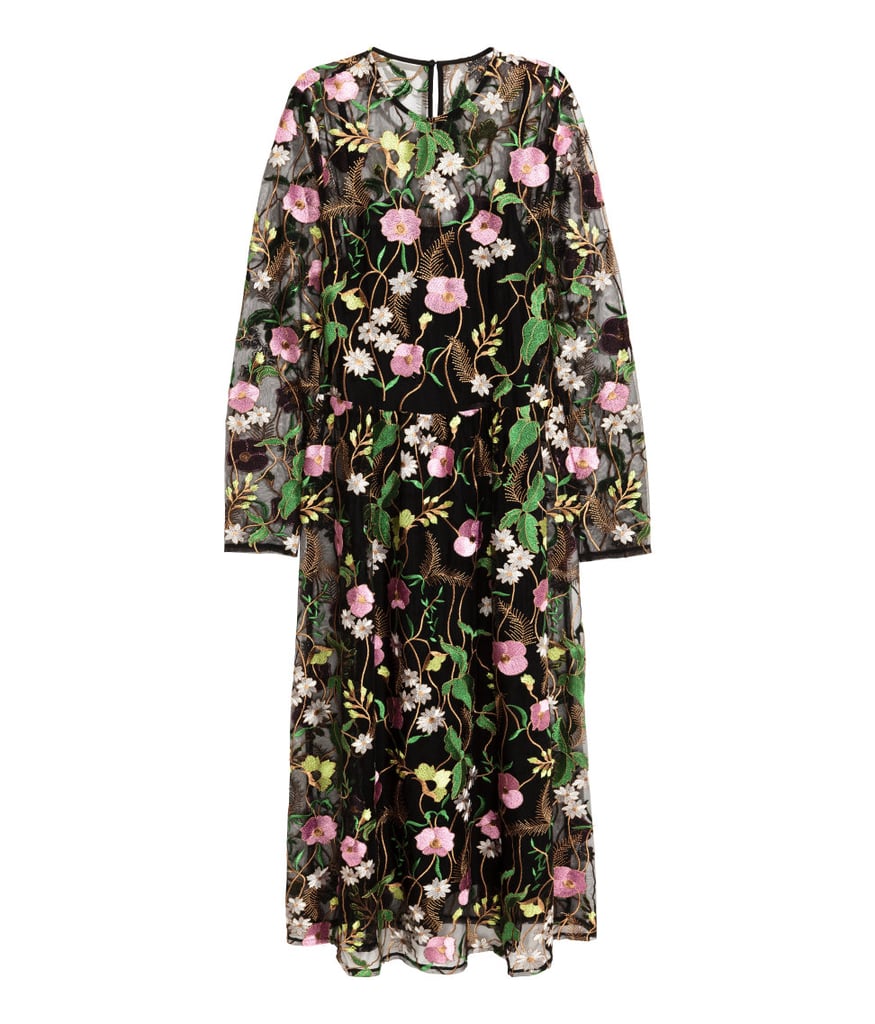 H&M Embroidered Mesh Dress