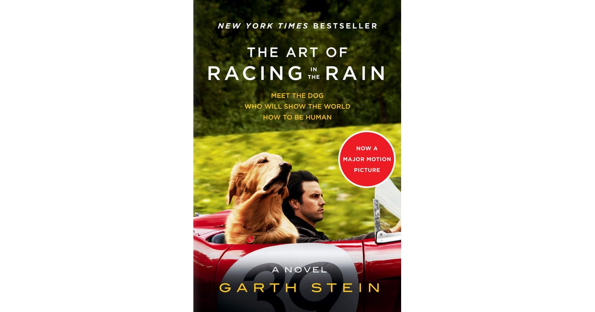 art of racing in the rain novel