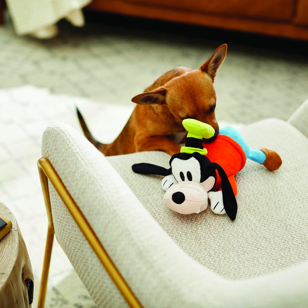 Goofy Plush Squeaky Dog Toy