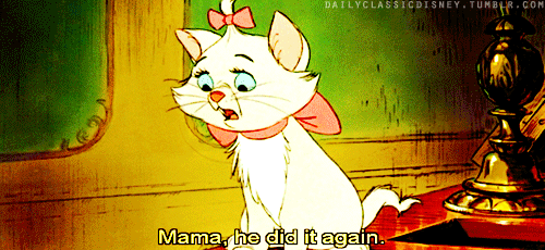 There is one child tattling on another at all times of the day.