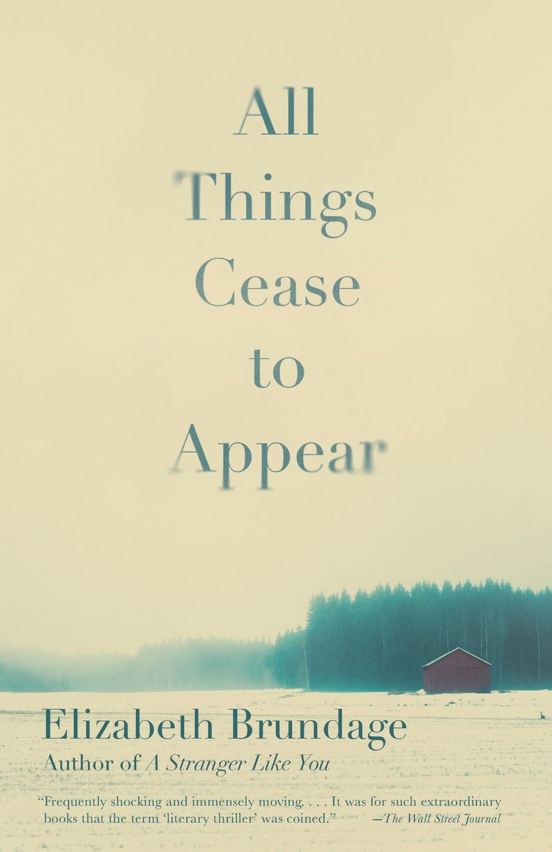 All Things Cease to Appear by Elizabeth Brundage