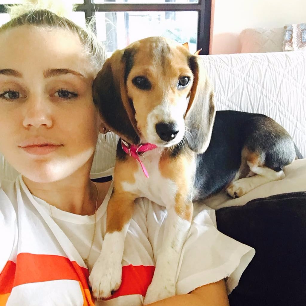 How Many Pets Does Miley Cyrus Have? | POPSUGAR Pets
