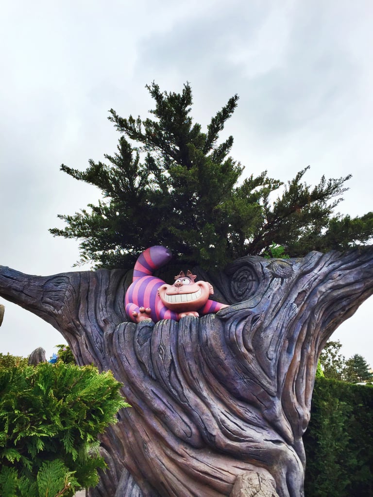 You'll encounter the Cheshire Cat in the maze.
