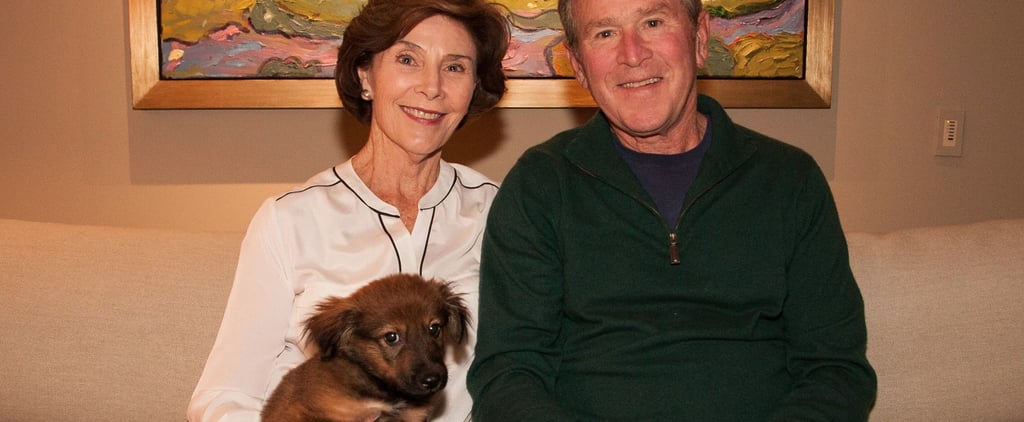 George W. Bush Adopts Puppy