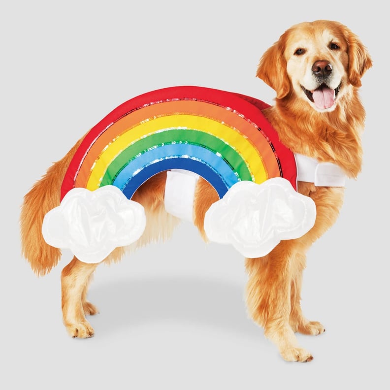 Rainbow with Clouds Dog and Cat Costume