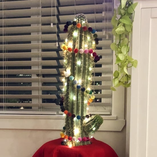 How to Decorate a Cactus For Christmas