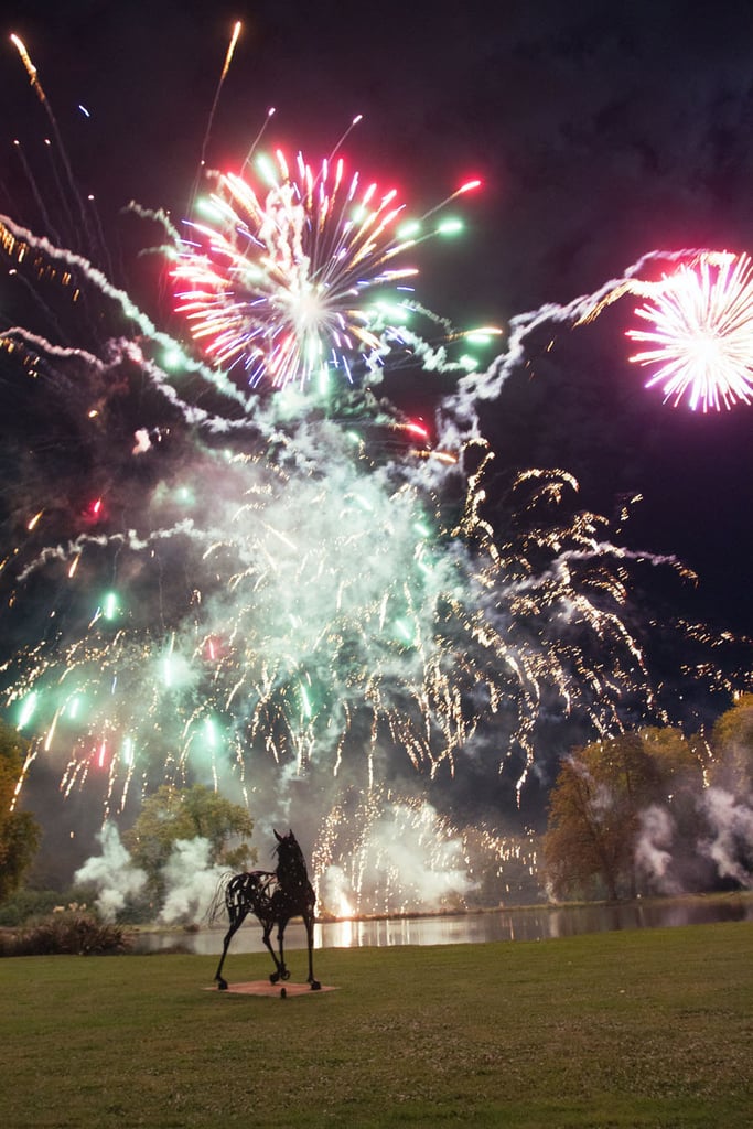 Wow. Just wow, is all I can say about this stunning fireworks display at this French countryside wedding.