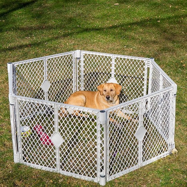 MyPet Plastic Dog Pet Yard Best Playpens For Dogs POPSUGAR Pets