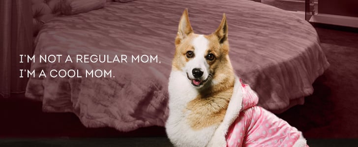 Dogs Dressed as Mean Girls Characters