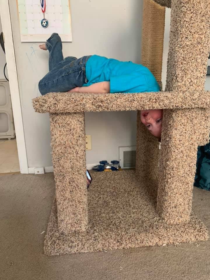 Boy Who Got His Head Stuck in a Cat Tree | Funny Photos