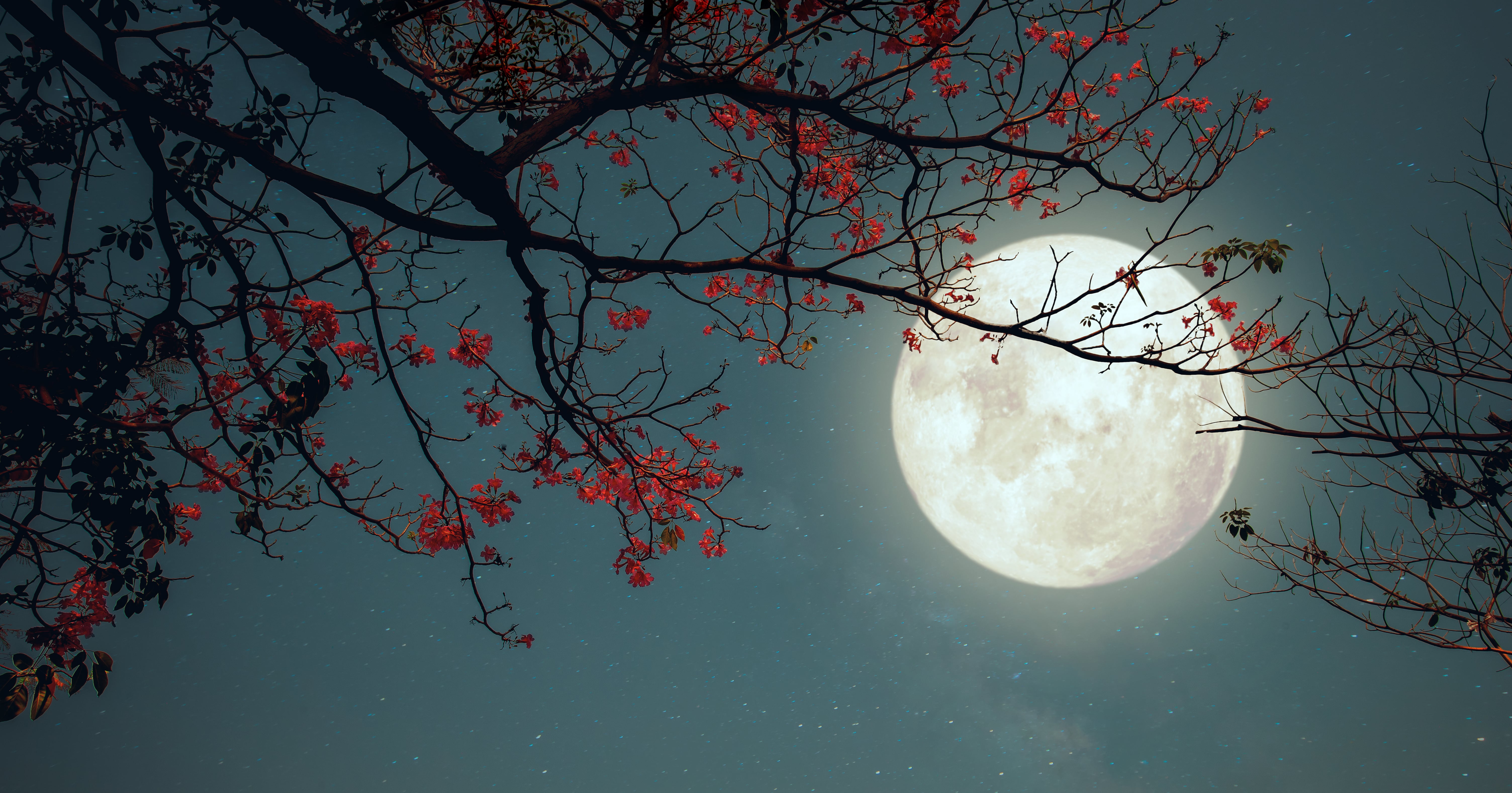 This Supermoon-in-Aquarius Limpia Will Help You Lean Into Your Powers