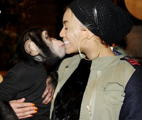 Beyoncé got cute with a monkey.
Source: Tumblr user Beyoncé Knowles