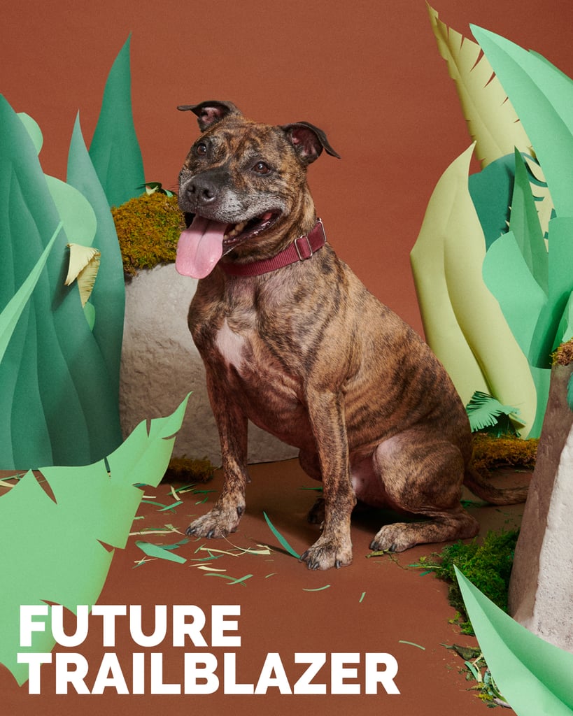 Sherlock, Future Trailblazer