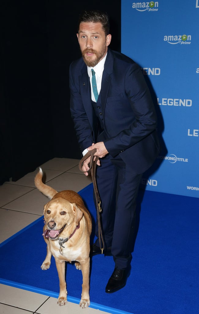 Tom Hardy's Dog at Legend Premiere