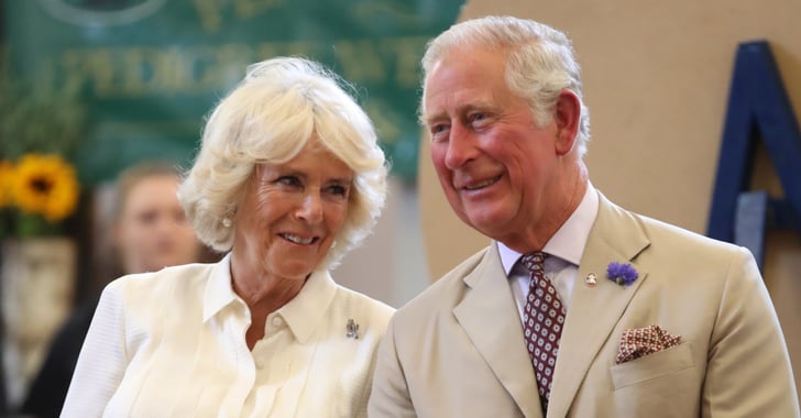 Prince Charles and Camilla Relationship Facts | POPSUGAR Celebrity