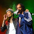 Watch the Scary Moment a Railing Full of People Collapses During Snoop Dogg and Wiz Khalifa's Concert