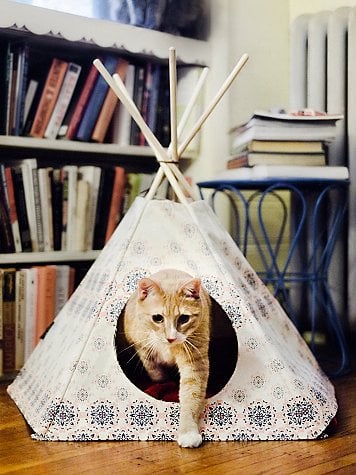 The pet version of glamping, this Free People printed cat tipi ($88), handcrafted in California from 100 percent cotton canvas, helps your kitty get in touch with its wild side.