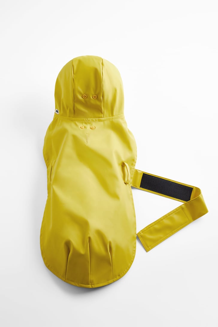 zara pet jacket