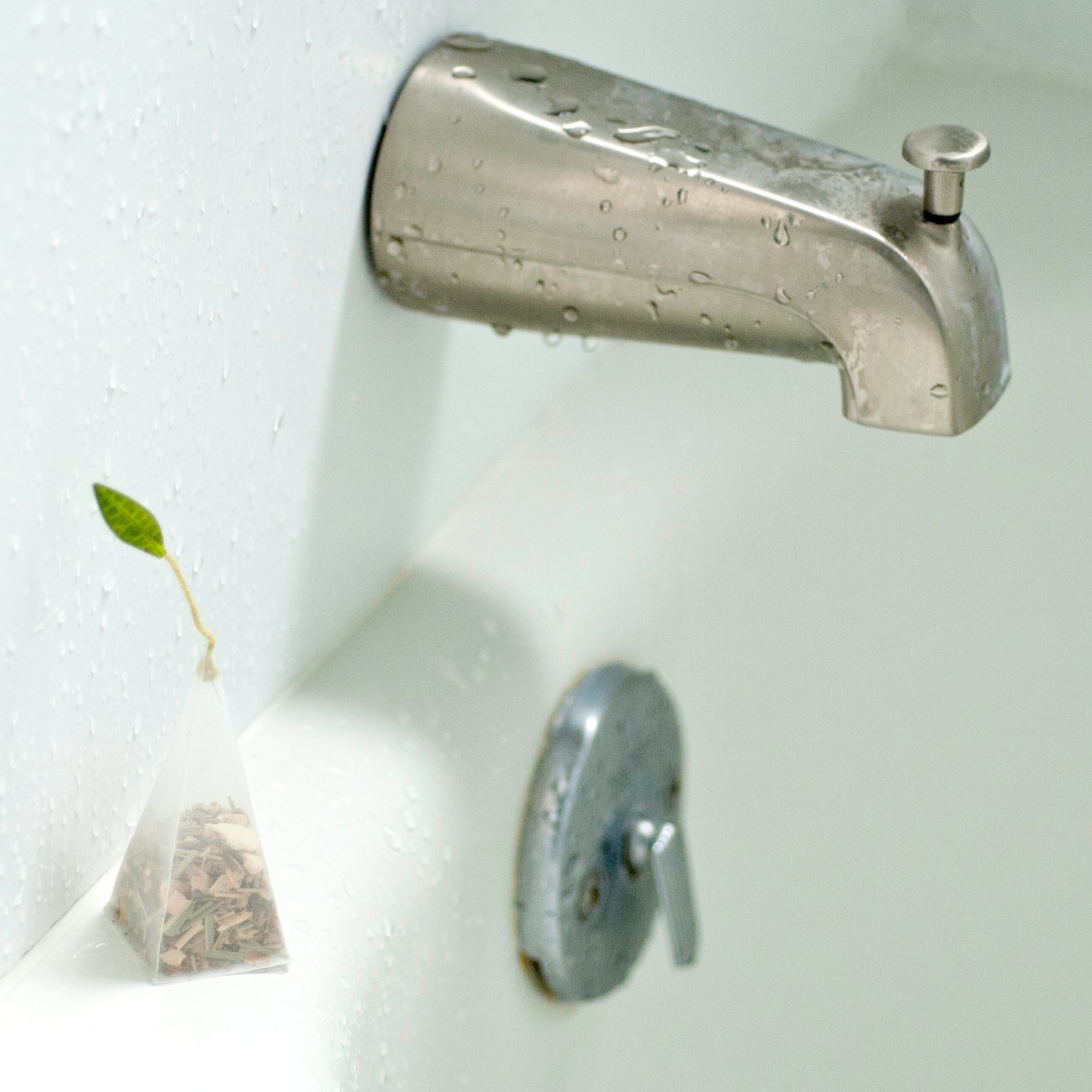 DIY Shower Scents POPSUGAR Smart Living