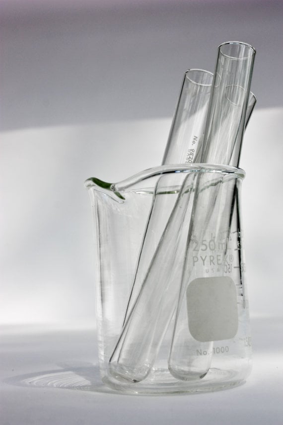 Lab Beaker Vases POPSUGAR Tech