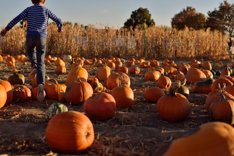 A kid jumps pumpkins in a patch.