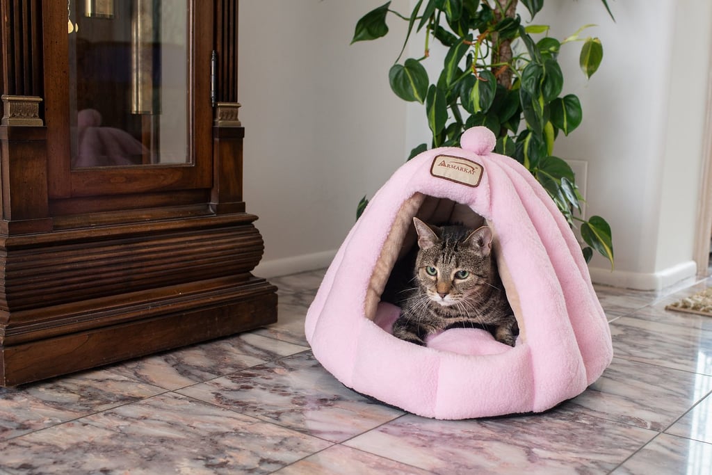 A Plush Bed For Cats: Armarkat Soft Pink Cat Bed