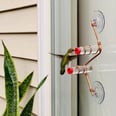 Attract Hummingbirds to Your Backyard With These 17 Feeders