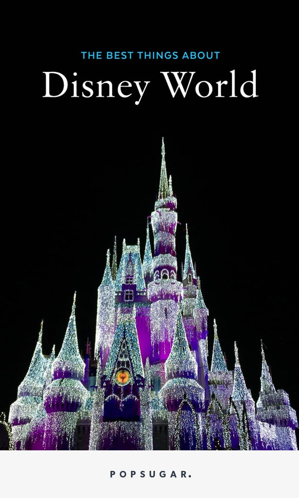 Best Things About Disney World