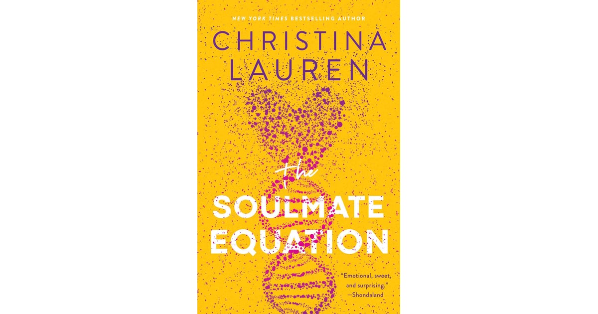 the soulmate equation cover