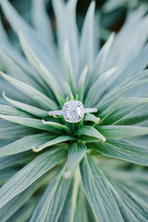 Photo by Indu Huynh Photography