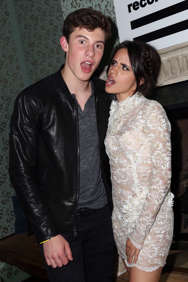 Shawn Mendes and Camila Cabello