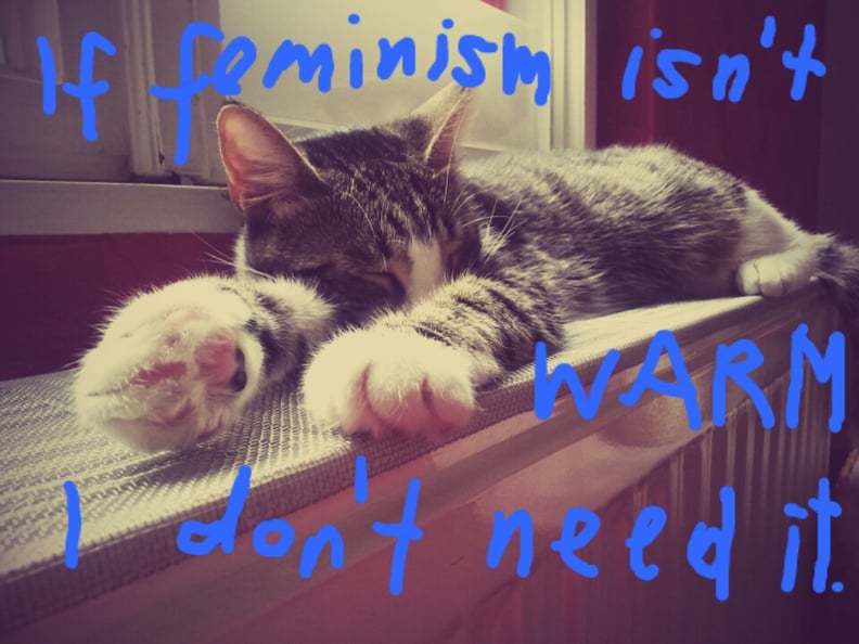 困惑的猫对女权主义