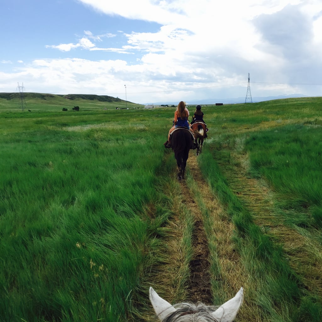 Terry Bison Ranch