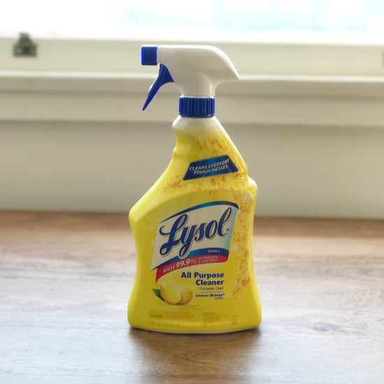 Do All-Purpose Cleaners Kill Ants?