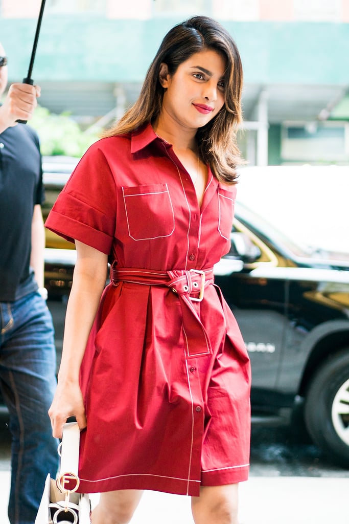 Priyanka Chopra's Diane Von Furstenberg Dress