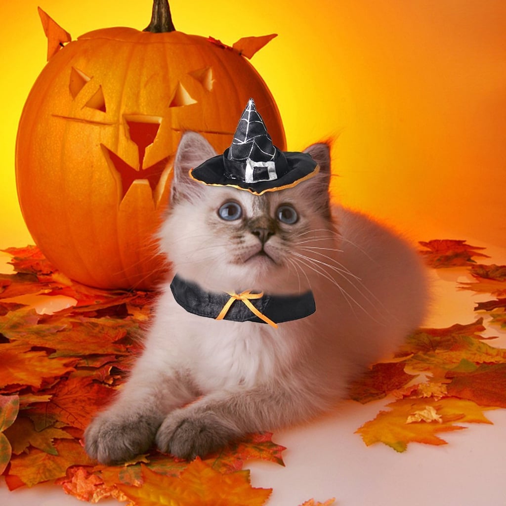 Cat Witch Costume