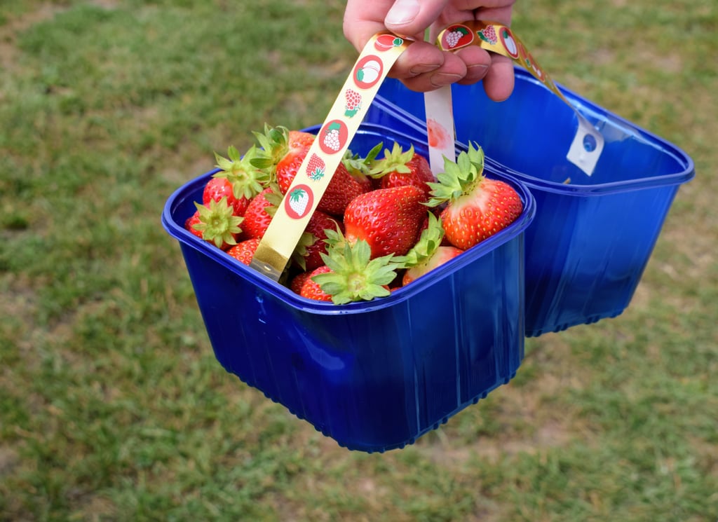 Visit a Local U-Pick Farm