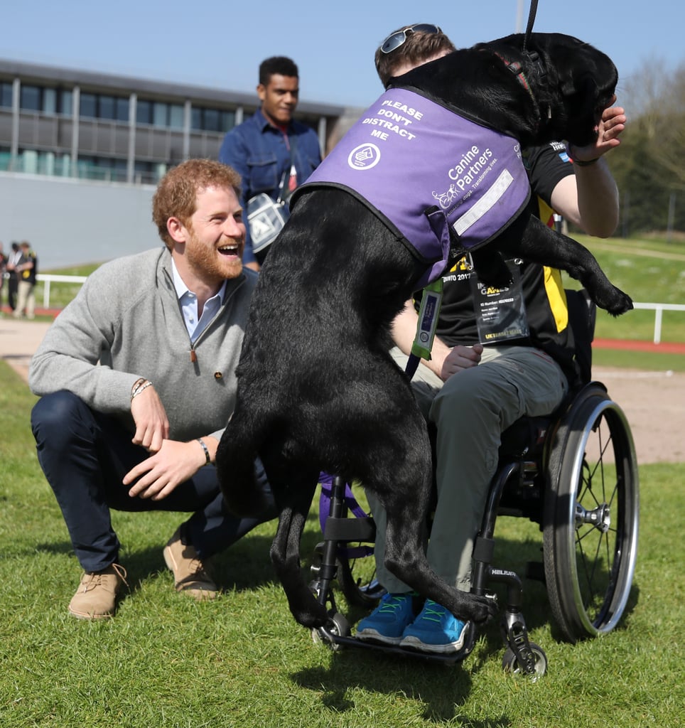Prince Harry at Invictus Games Trials April 2017