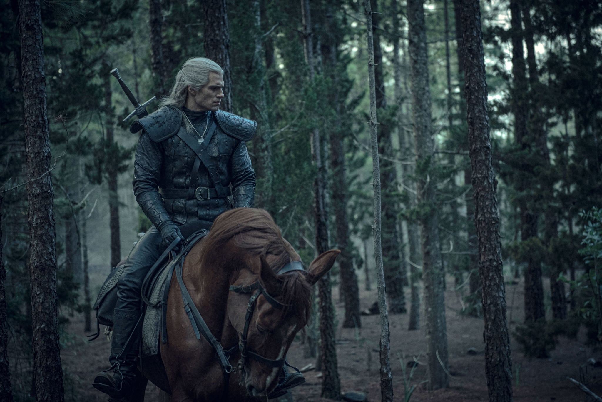What Is The Law Of Surprise In The Witcher Popsugar Entertainment