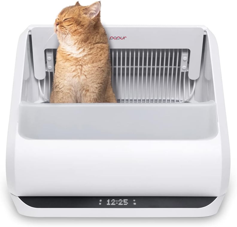 Best Self-Cleaning Litter Box With 30-Day Capacity