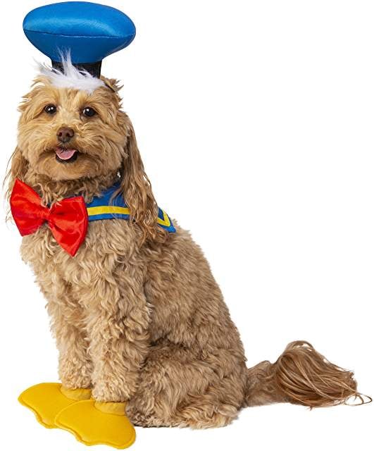 Donald Duck Dog Halloween Costume