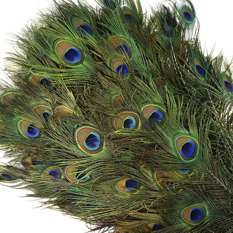 Feather Place Peacock Feather Eyes 40-45" Natural