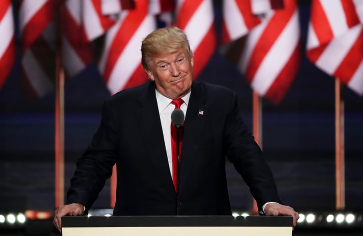 Reactions To Donald Trump S Rnc Speech 2016 Popsugar News