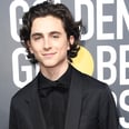 Timothée Chalamet's Reaction to Seeing Tonya Harding at the Golden Globes Will Make You LOL