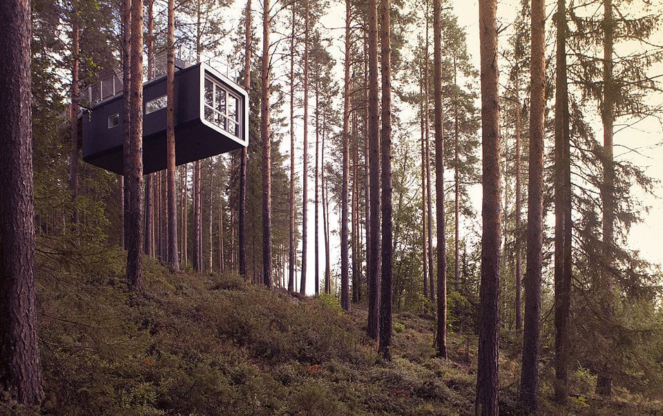 Coolest Tree Houses