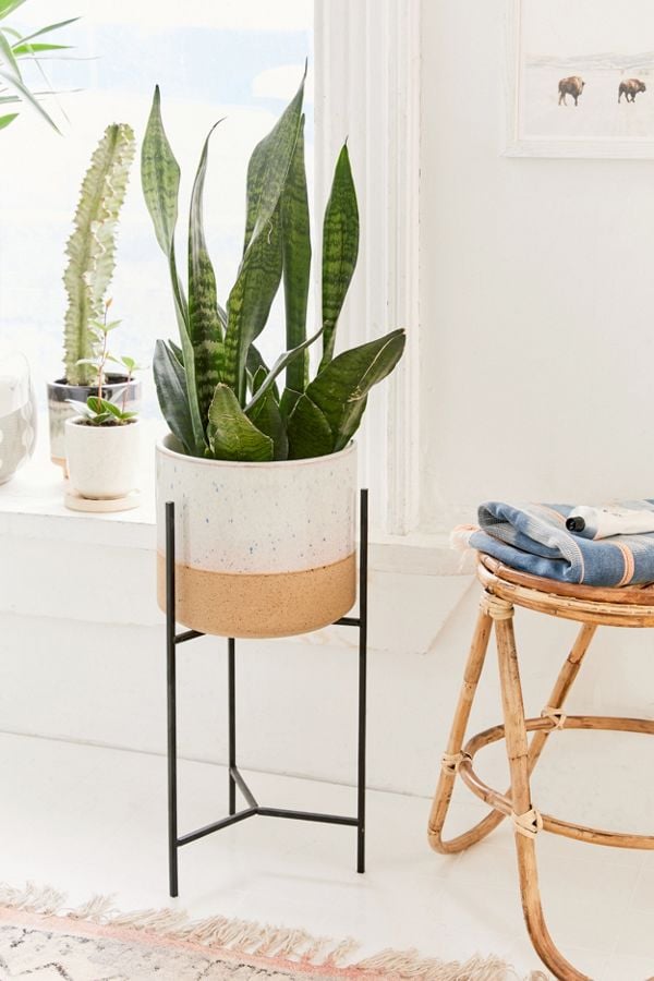 Brina 10" Planter + Stand