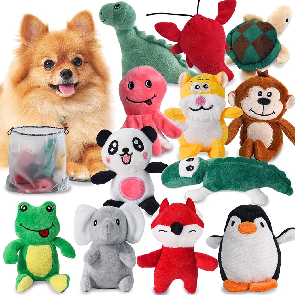 Legend Sandy Squeaky Dog Toys